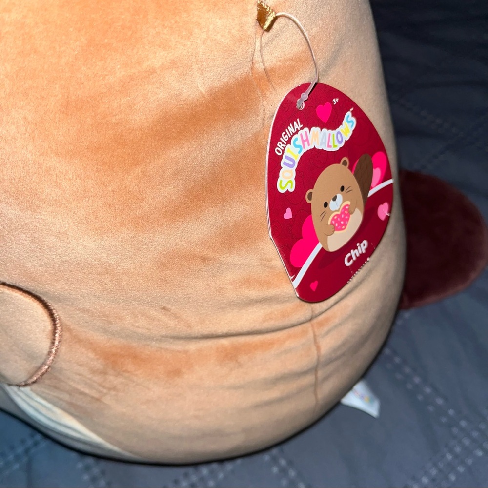 Squishmallow 2024 Chip the Beaver - Picture 3 of 7